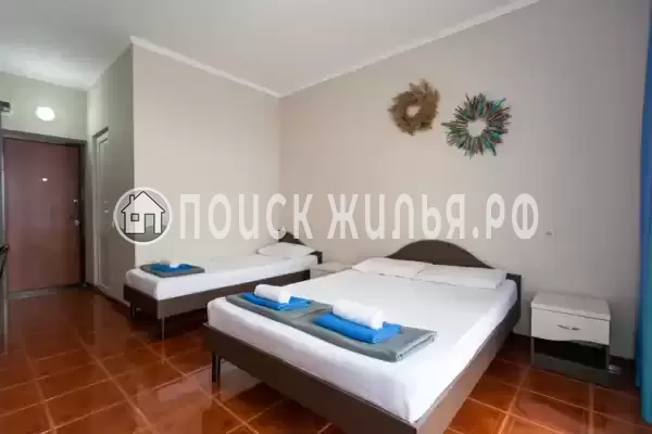 «Мангостин»