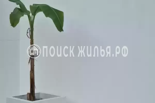 Гостевой дом «Nikas» Гостевой дом «Nikas»