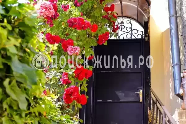 «Антураж» «Антураж»