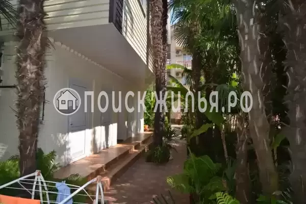 «Виталий» «Виталий»