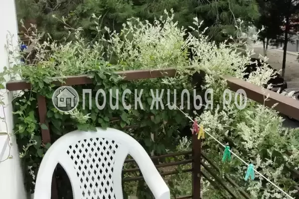 «Аир» «Аир»