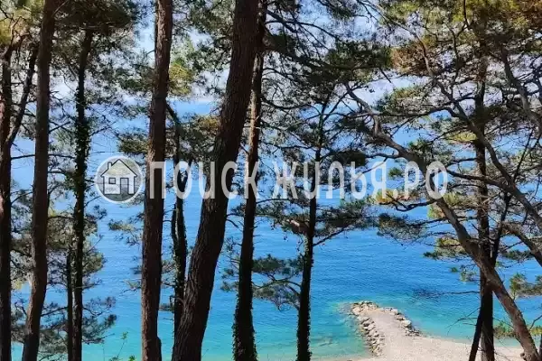 «Розмарин»