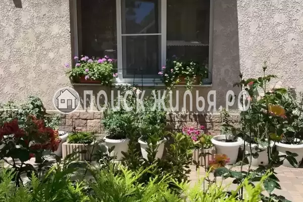 «Розмарин»