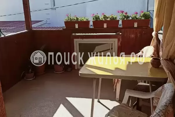 «Елена» «Елена»