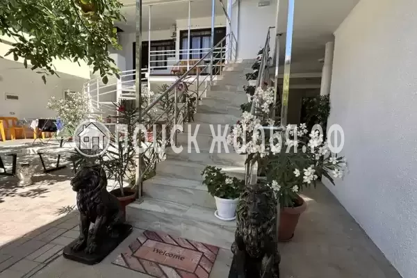 «Элина» «Элина»