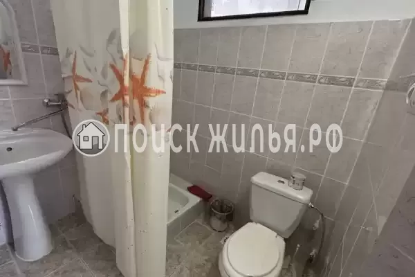 «Элина» «Элина»