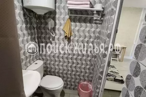 «Виноградная лоза»