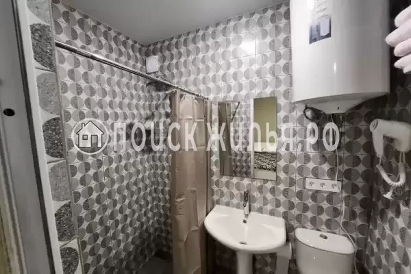 «Виноградная лоза»