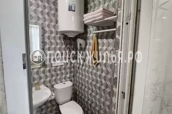 «Виноградная лоза»