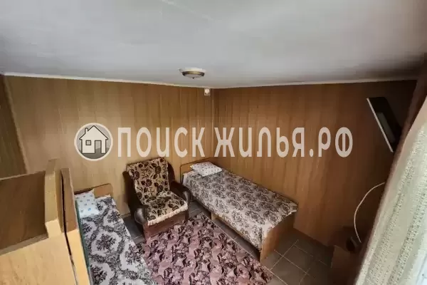 «Виноградная лоза»