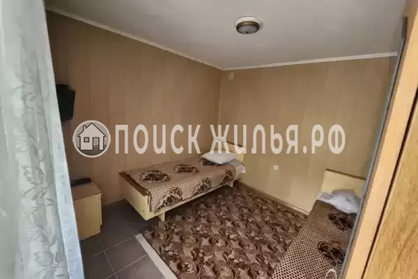 «Виноградная лоза»