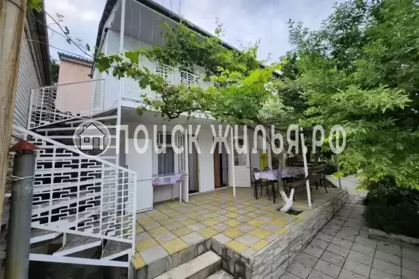 «Виноградная лоза»