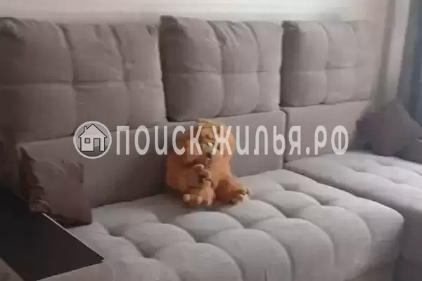 «Павлодар»