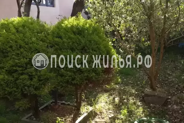 Частный сектор «У Евгения»