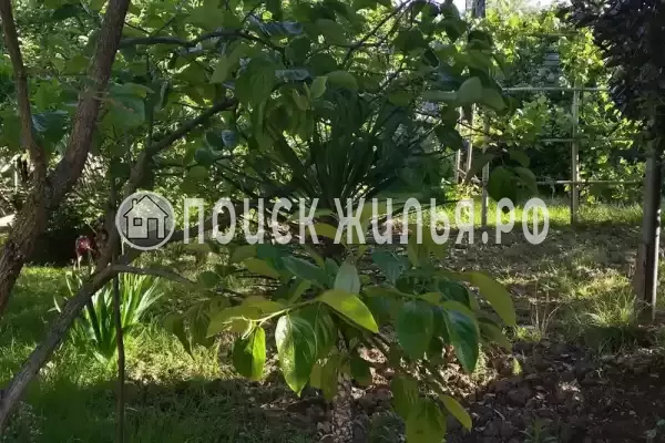 Частный сектор «У Евгения»