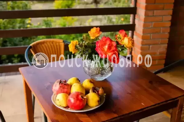 «Подсолнух»