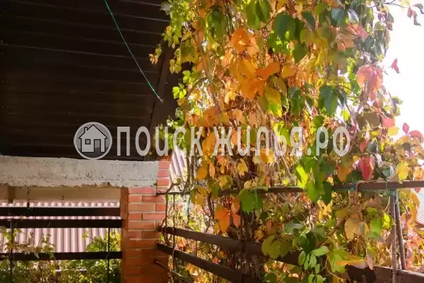 «Подсолнух»