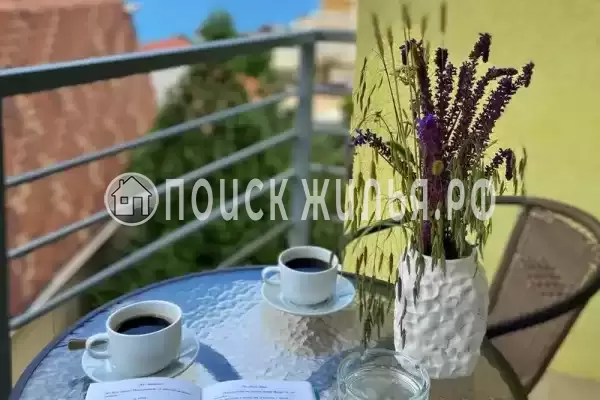 Гостиница «Софи Голд» Гостиница «Софи Голд»