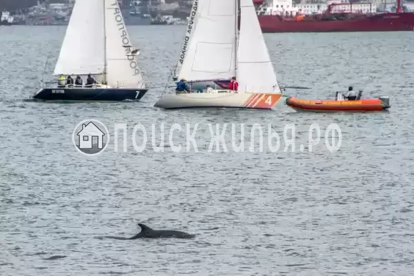 Квартира «У парка фрунзе и горпляжа» Квартира «У парка фрунзе и горпляжа»