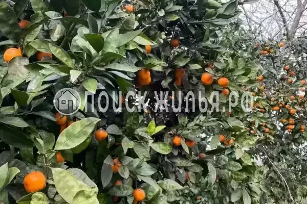 Частный сектор «Коттедж под ключ Бриз»