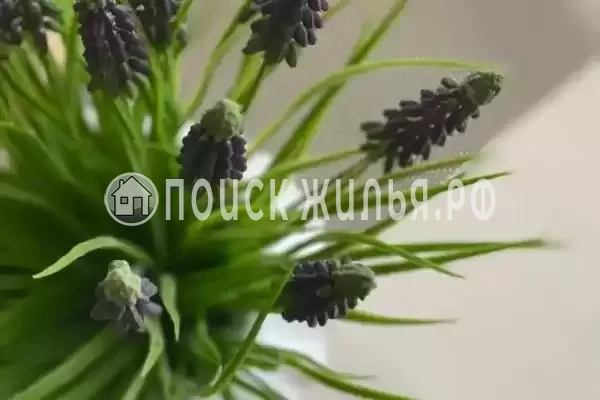 Квартира «У моря»