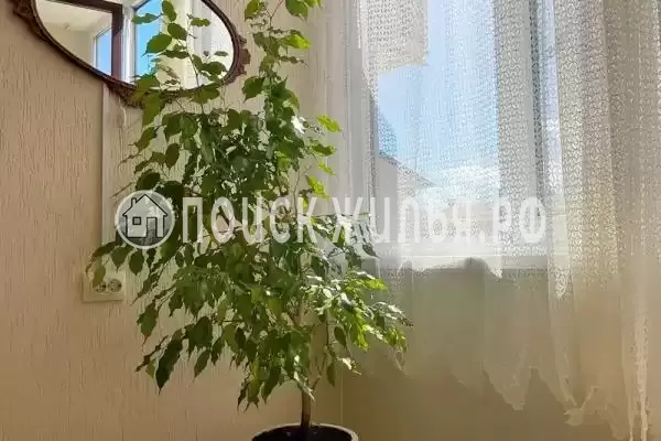 Квартира «У моря»