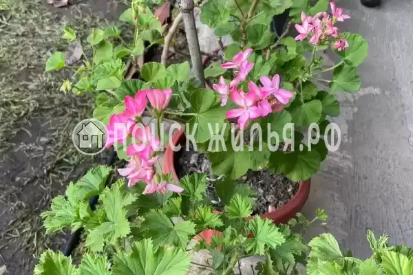 Дом под ключ «Марианна»