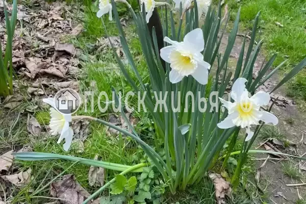 Дом под ключ «Марианна»