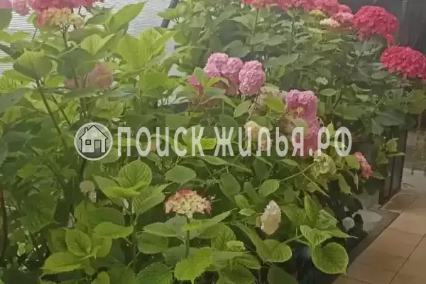 Частный сектор «Таунхаус Мейсон»