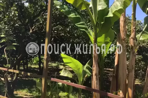 Частный сектор «Этаж под ключ Отдых у Риты» Частный сектор «Этаж под ключ Отдых у Риты»