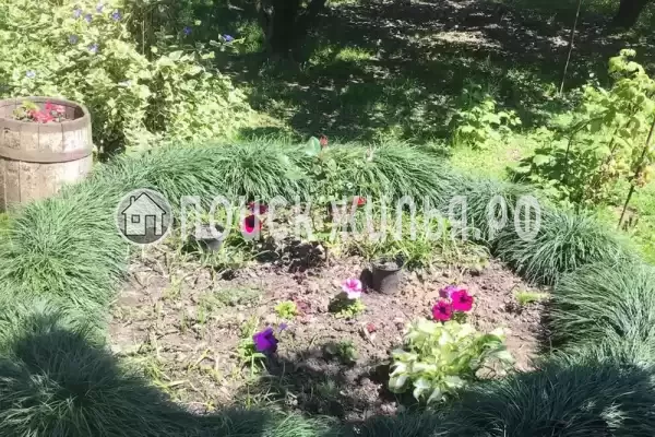 Частный сектор «Этаж под ключ Отдых у Риты» Частный сектор «Этаж под ключ Отдых у Риты»