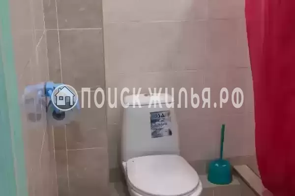 «Лиза» «Лиза»