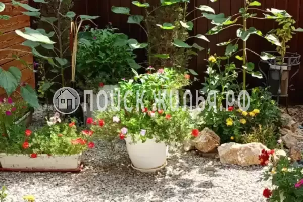 Частный сектор «Happy_home_eko_dom_sudak» Частный сектор «Happy_home_eko_dom_sudak»