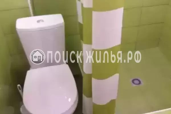 «Галопогосы» «Галопогосы»