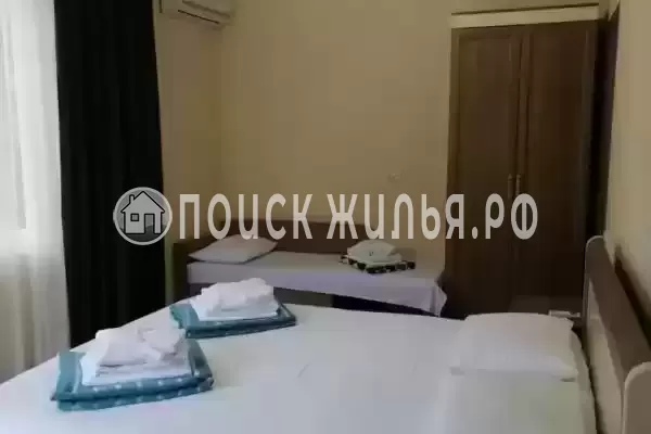 «Галопогосы» «Галопогосы»