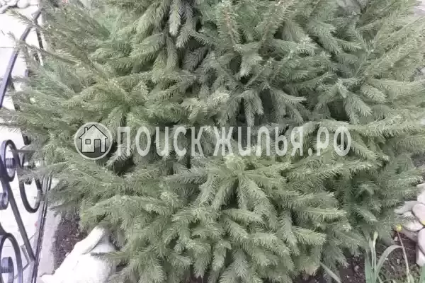 Частный сектор «На Ясенской 83»