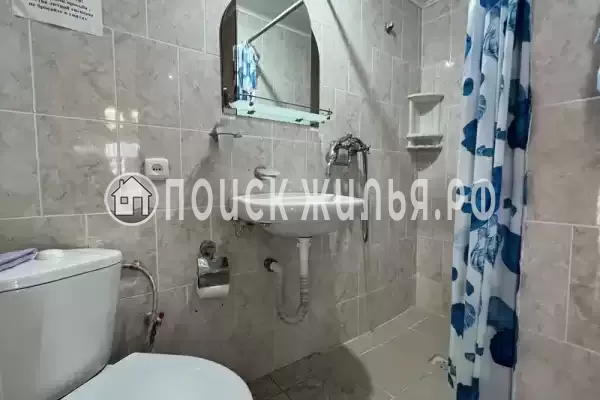 «Камелия» «Камелия»