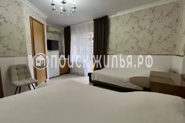 «Камелия» «Камелия»