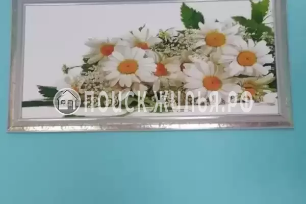 Гостевой дом «Фиалка»