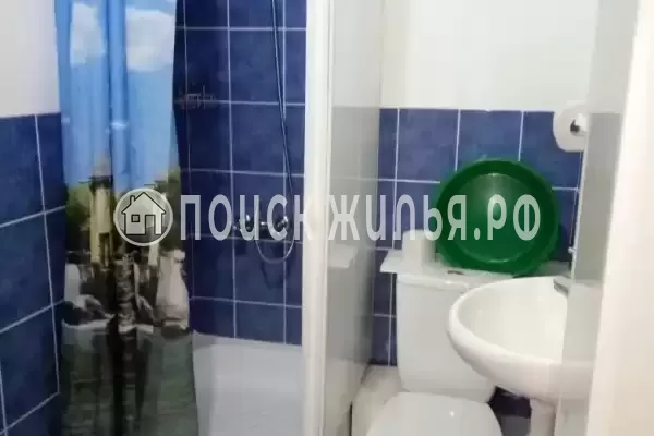 «Полинка» «Полинка»