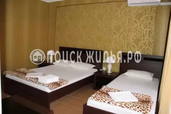 «Пальма» «Пальма»