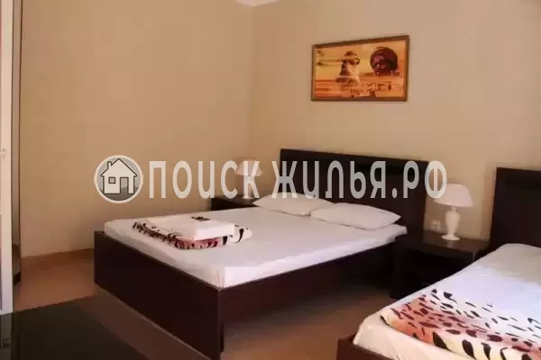 «Пальма» «Пальма»