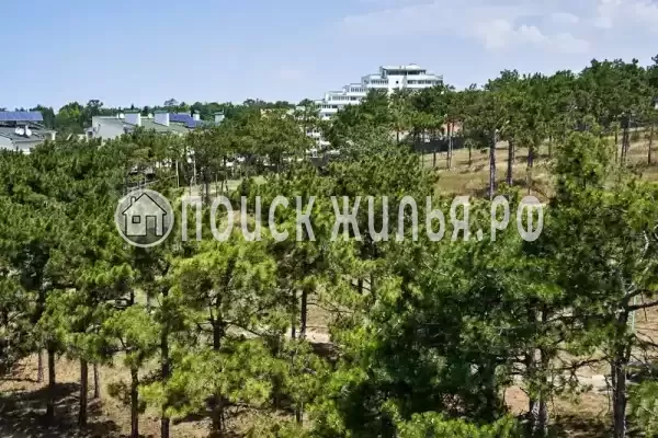 «Пчелка Майя»