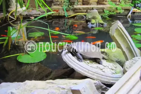 «Домик в Ялте» «Домик в Ялте»