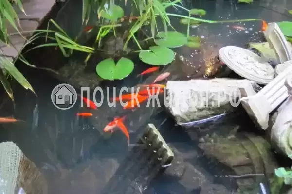 «Домик в Ялте» «Домик в Ялте»