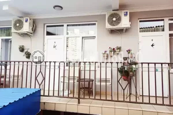 «Ласточка» «Ласточка»