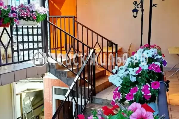 «Ласточка» «Ласточка»