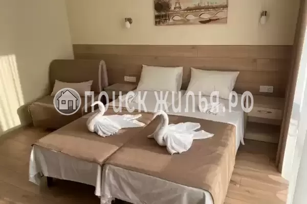 «Season» «Season»