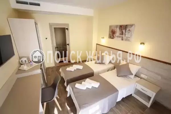 «Season» «Season»