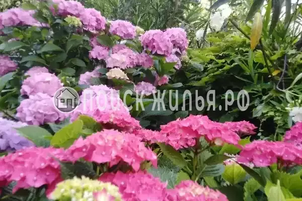 «Ольга+» «Ольга+»